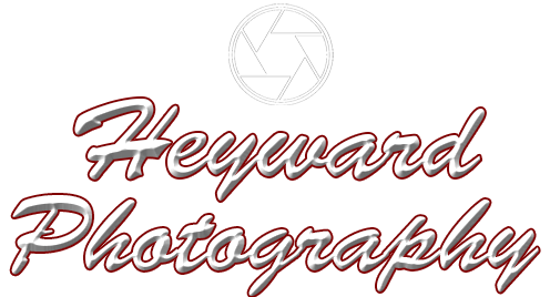 Heyward Photography
